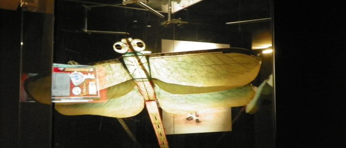 Exhibicipon de museo de gran maqueta de libélula