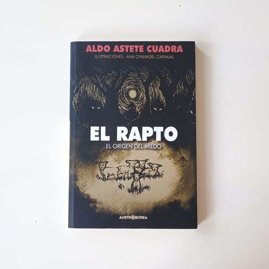 Libro: El rapto, foto tomada por Lía Yáñez