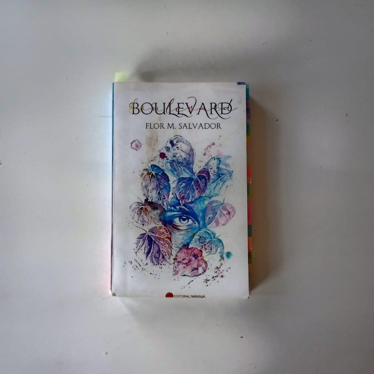 Libro: boulevard, foto tomada por Lía Yáñez