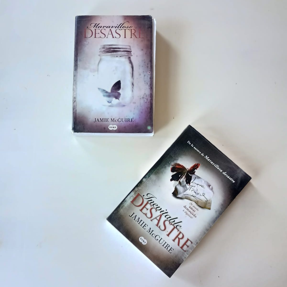 Libro: Maravilloso desastre, foto tomada por Lía Yáñez