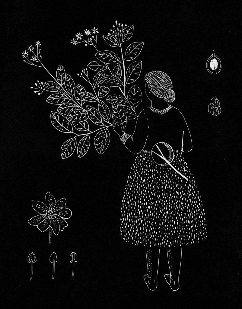 Un fondo negro y con trazos blancos se aprecia una mujer de espalda, sosteniendo un ramo de hojas.