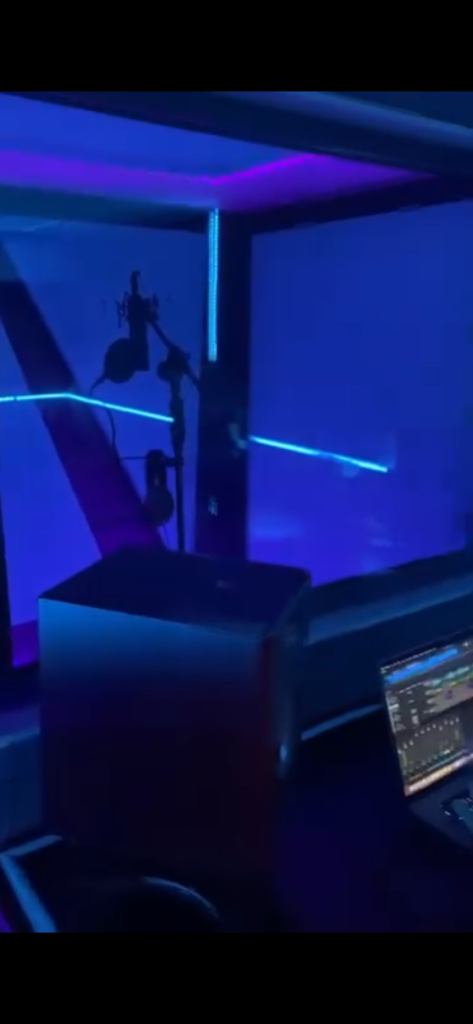 Micrófono profesional con filtro antipop instalado en la cabina de un estudio de grabación, preparado para la interpretación y registro de voces.