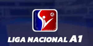 En esta imagen se encuentra el logo oficial de la Liga Nacional A1.